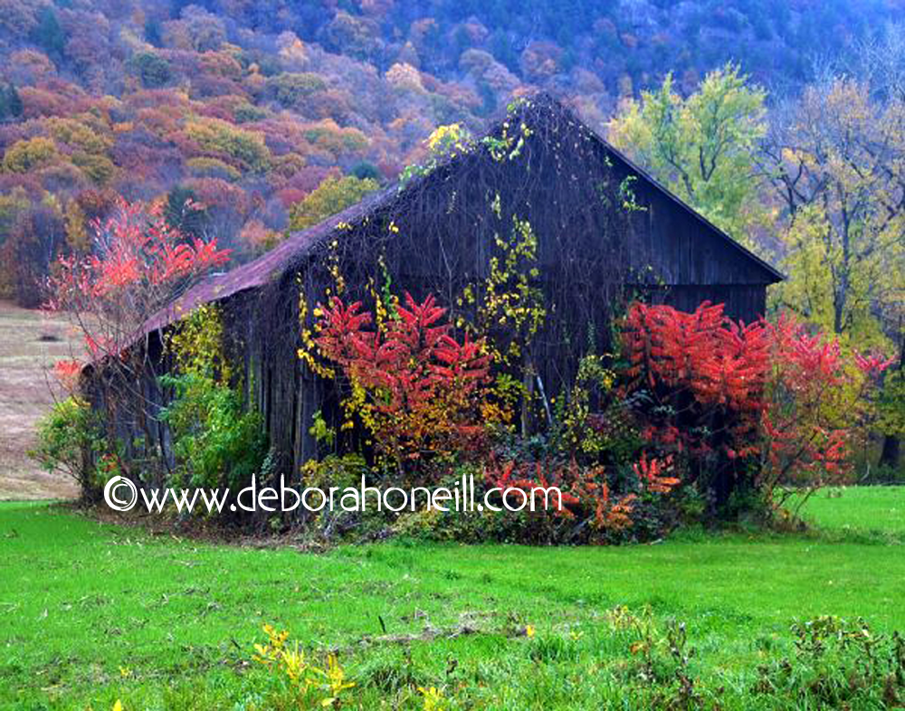 Barn on Fire