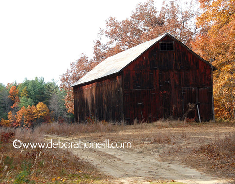 Barn Road