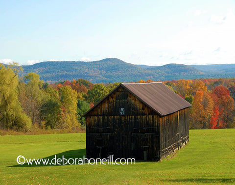 Barn Shadows