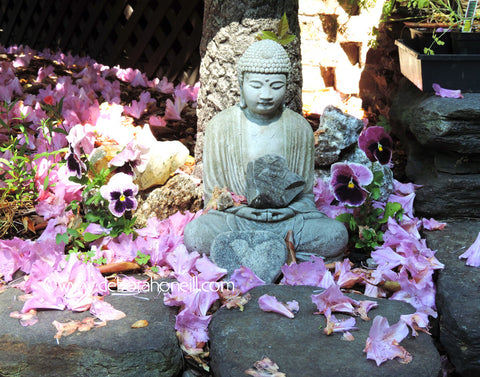 Garden Buddah