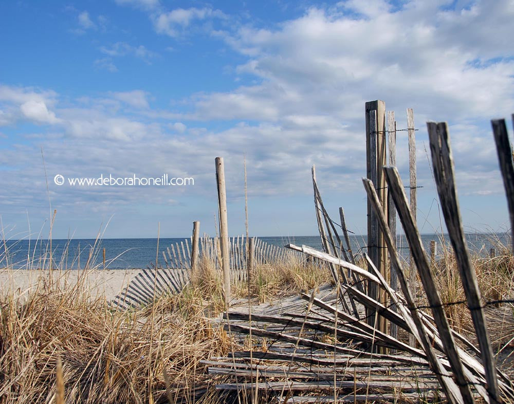 Ocean, Broken Fences, Cape Cod, MA, 16x20 print