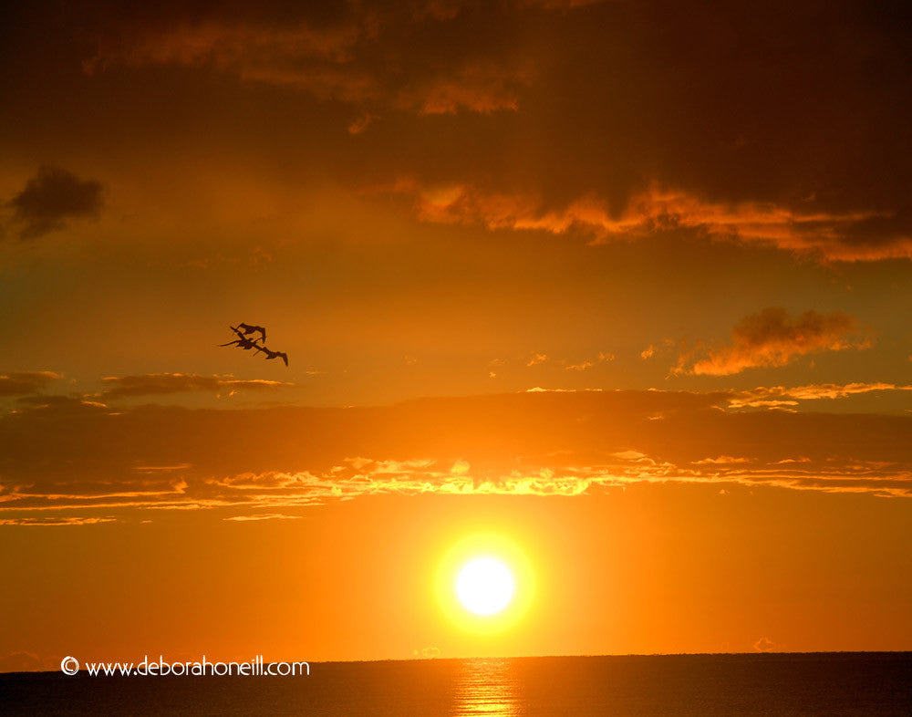 Ocean Sunrise, Cape Cod MA, 16x20 print