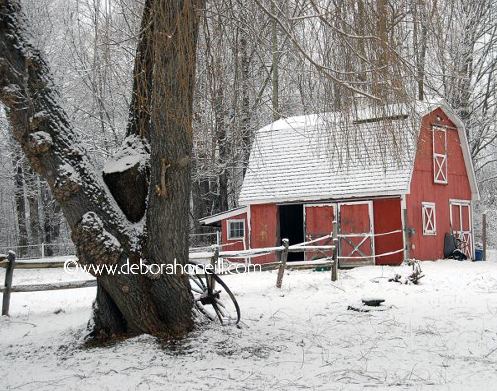 Northeast, Winter Farm, Chesterfield, MA, 16x20 print