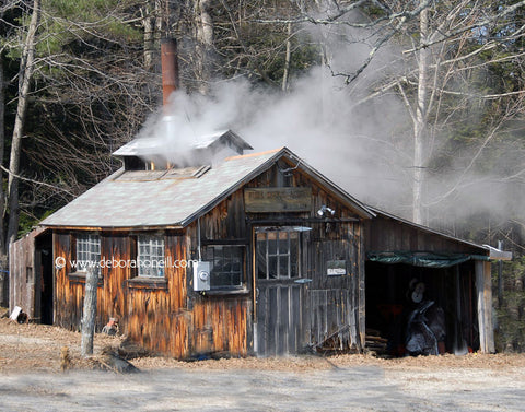 Maple Sugar Shack