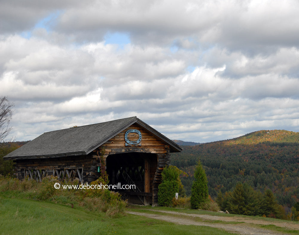 Northeast, Covered Bridge, Vermont, 16x20 print