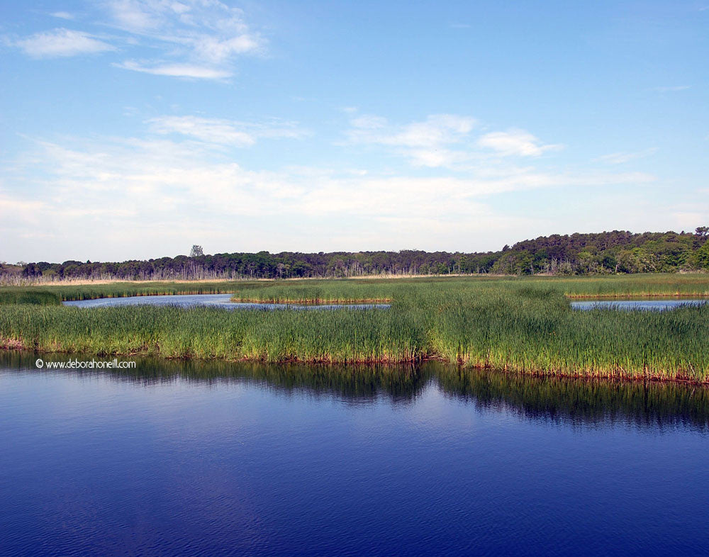Ocean Marsh, Cape Cod, MA, 16x20 print
