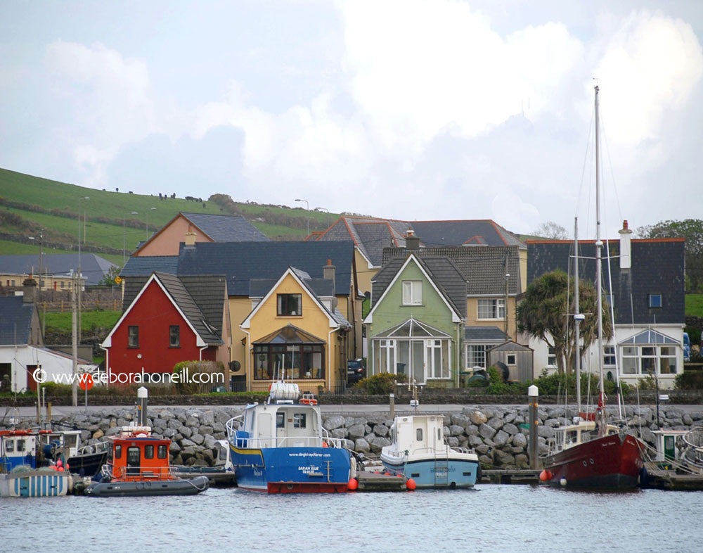 Ireland, Port of Dingle, 16x20 print