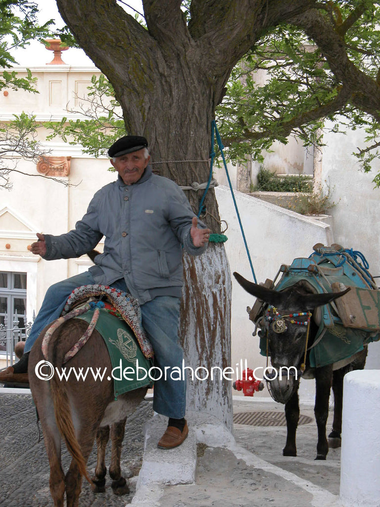 Greece Donkey Man of Santorini, 16x20 print