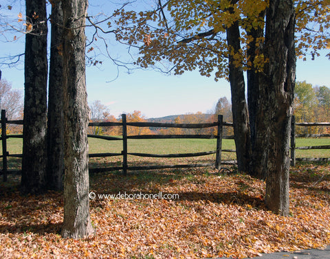 Northeast, Fall Pasture, 16x20 print