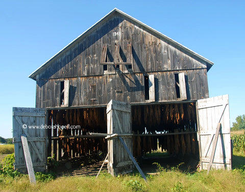 Grey Tobacco Barn