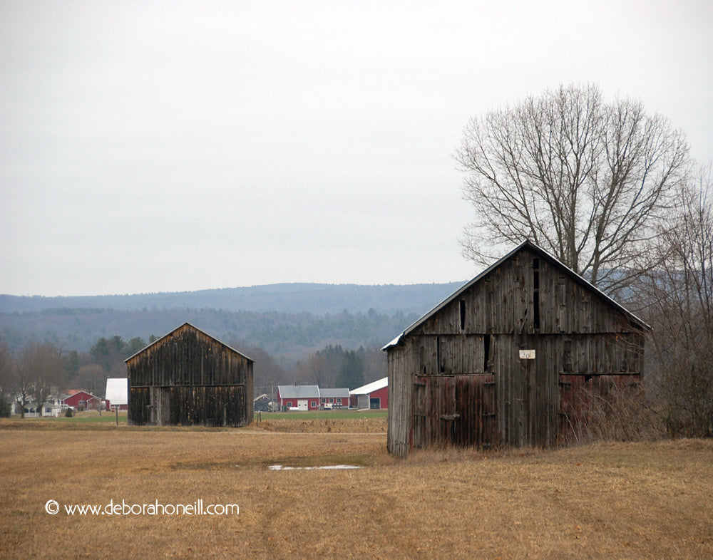 Two Hadley Barns