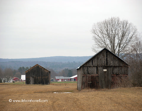 Two Hadley Barns