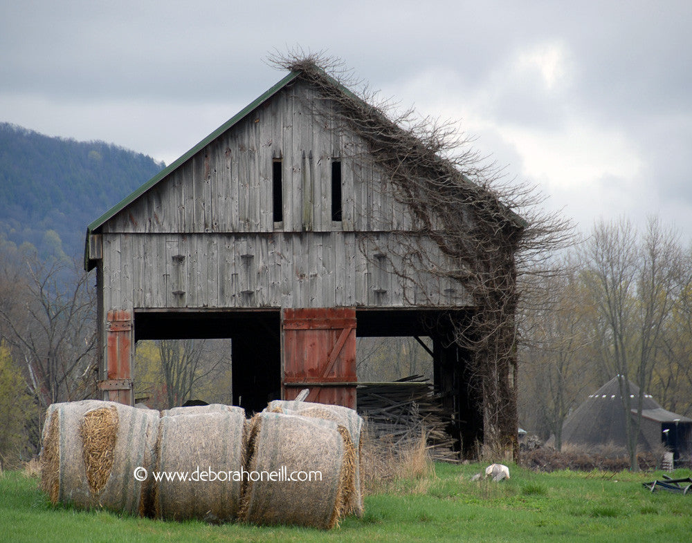 Happy Barn