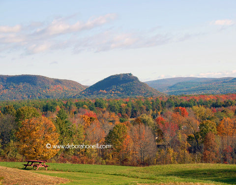 Northeast, Mt. Sugarloaf Fall, MA,16x20 print