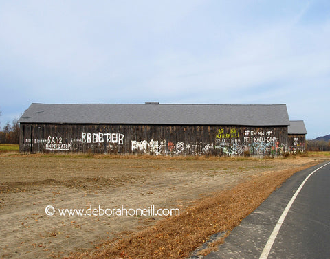 Northampton MA Area, Graffiti Barn, Hatfield, MA,16x20 print