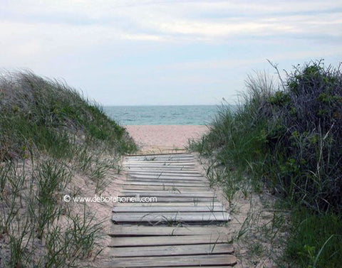 Ocean, Path To Sea, RI, 16x20 print