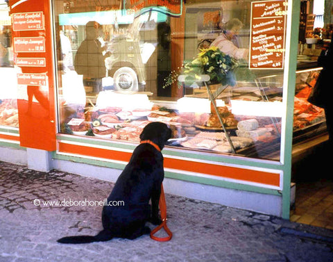 Red Dog, Munich, Germany