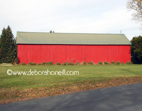 Bright Red Barn