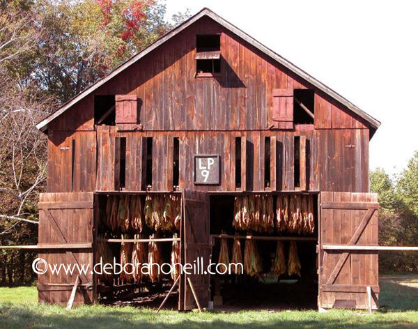 Red Tobacco Barn – Deborah O'Neill European & American Photos, Paintings &  Photo Paintings