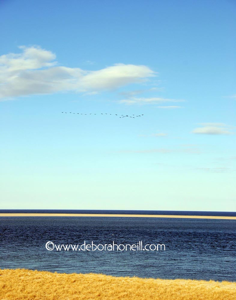 Ocean, Simple Sea, Cape Cod, MA, 16x20 print