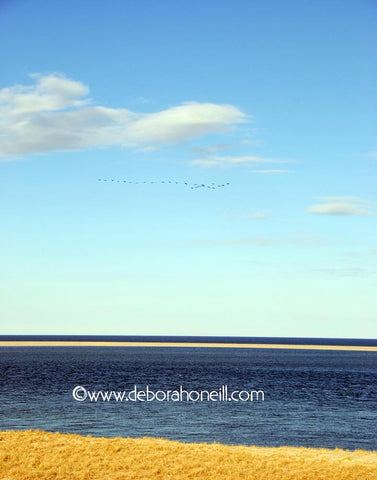 Ocean, Simple Sea, Cape Cod, MA, 16x20 print