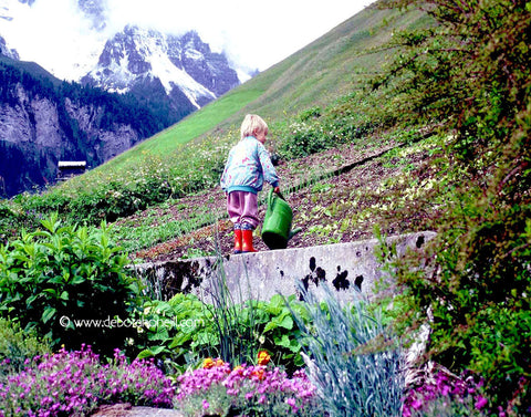 Switzerland, Heidi,16x20 print