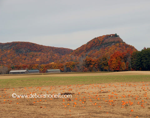 Northampton MA area, Sugarloaf Mountain, Sunderland,16x20 print