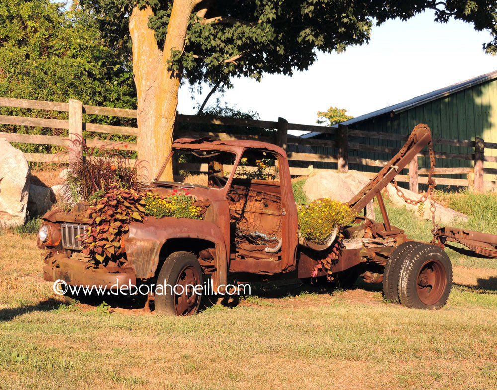Northeast, Old Tow Truck Full Of Flowers, 16x20 Print