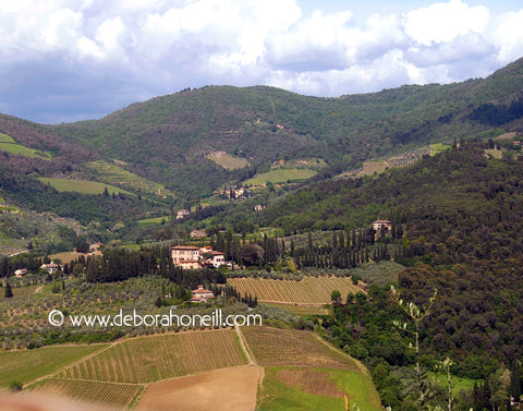 Italy, Tuscany Hills, Tuscany, 16x20 print