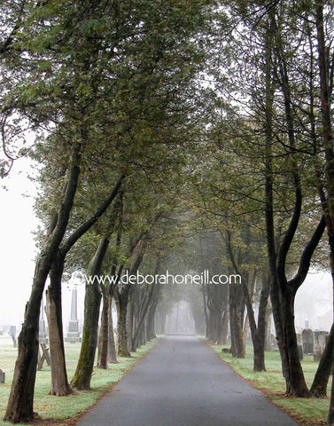 Northeast, Cemetery Path, MA, 16x20 print