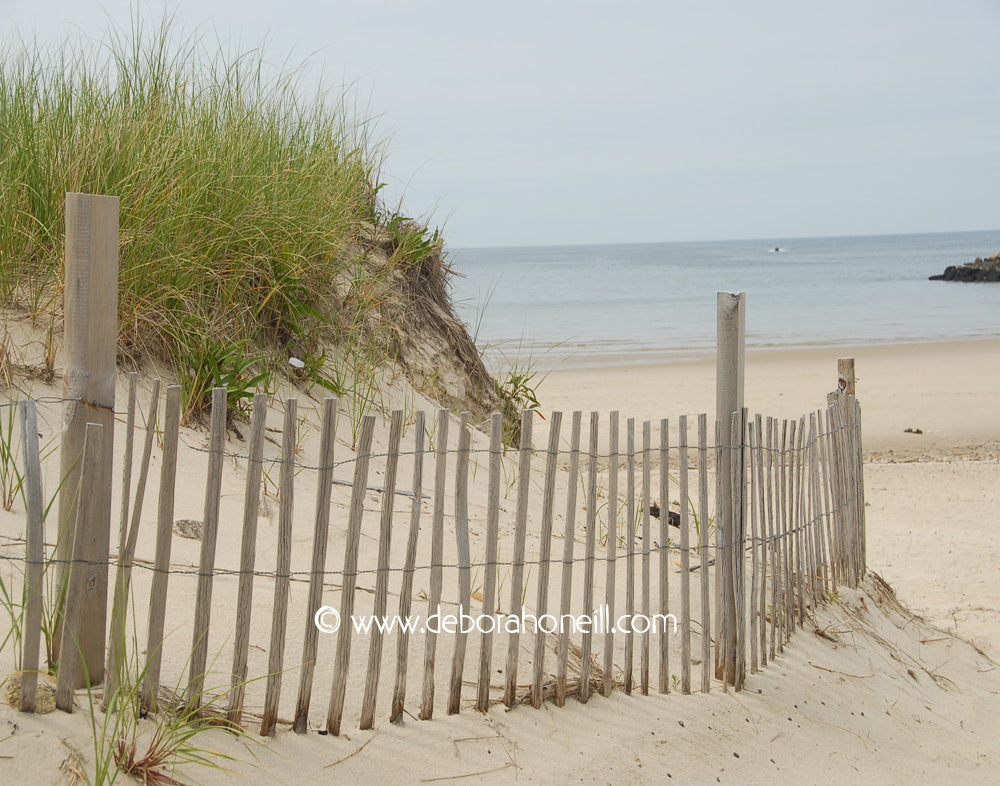 Ocean, Sandy Fences, Cape Cod, MA, 16x20 print