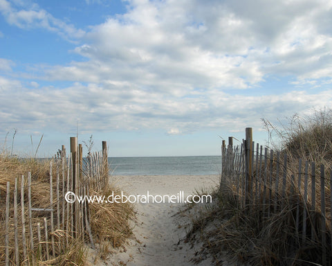 Ocean Walk, Cape Cod MA, 16x20 print