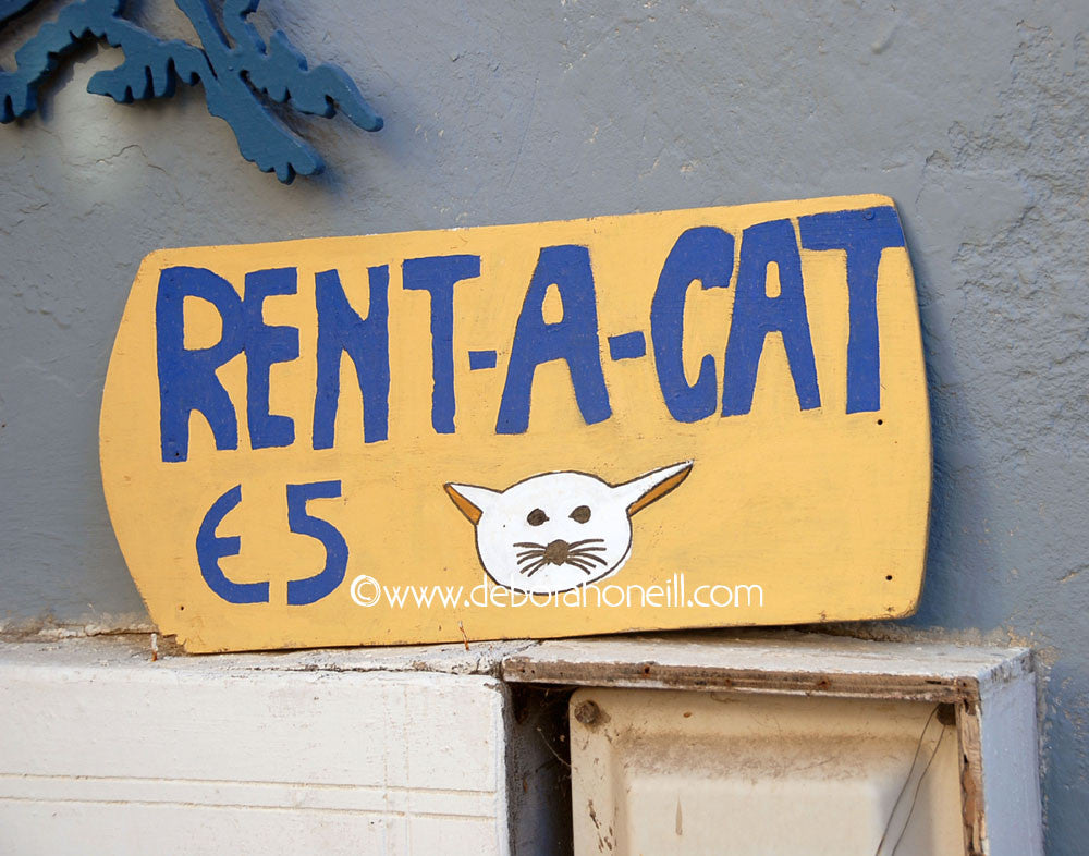 Rent A Greek Cat