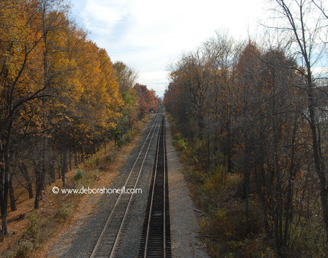 Northeast, Train Tracks & Foliage, 16x20 print