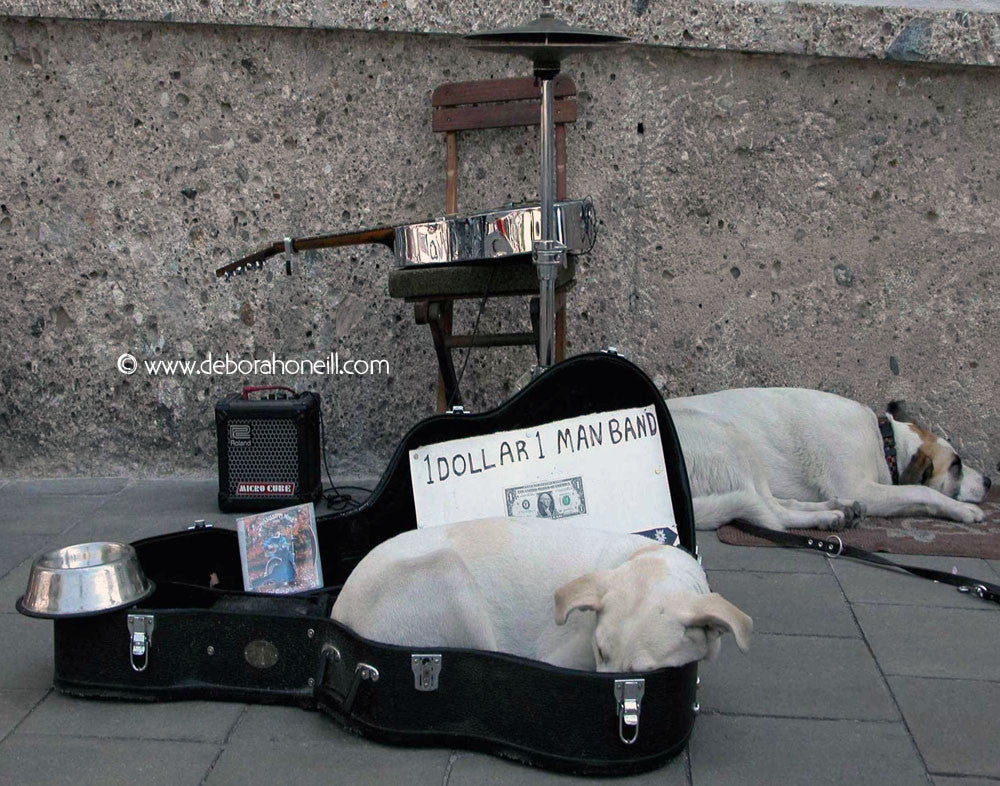 One Man Band of Dogs, Germany