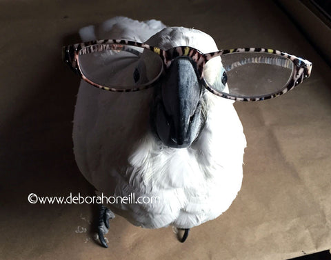 Parrot with Glasses