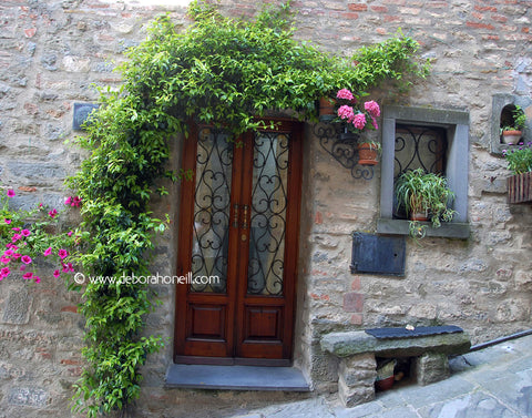 Italy, Door of Roses, Tuscany, 16x20 print