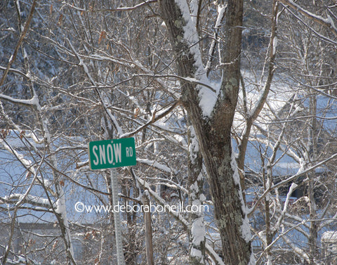 Northeast, Snow Road, MA, 16x20 print